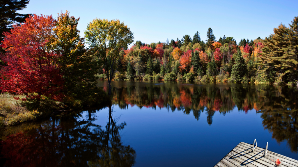 canadian-landscape-1920x1080