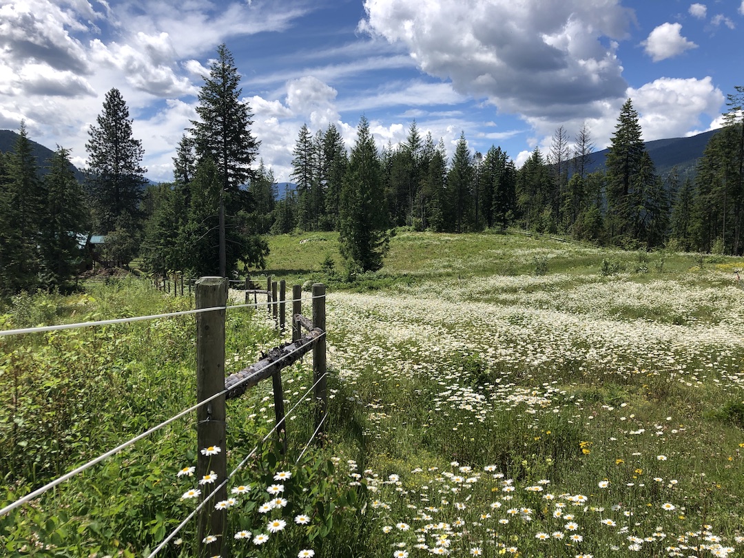 big-calm-field-1080x810